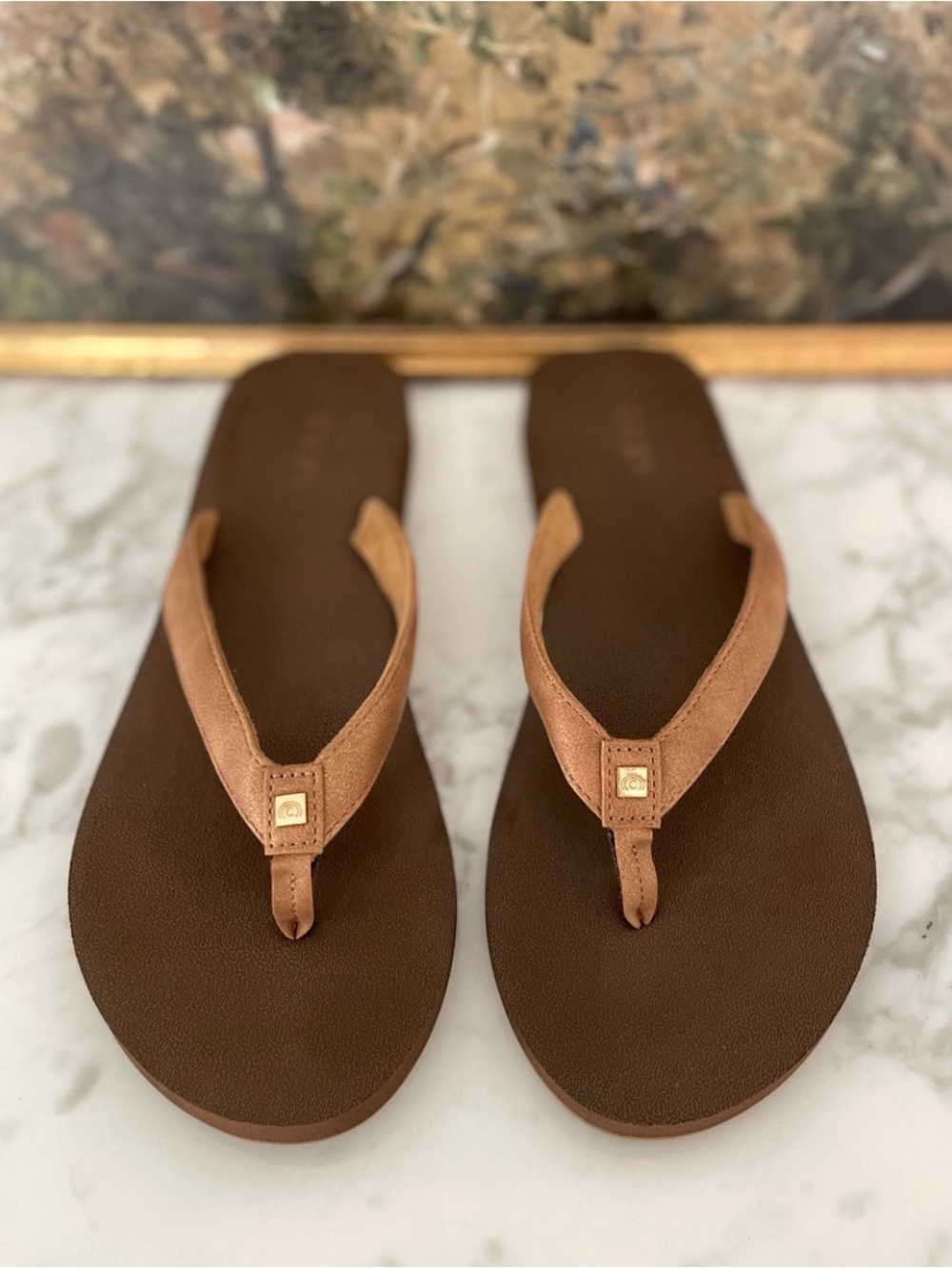 Cobian Bounce Flip Flop Sandals Womens Size 11 Brown